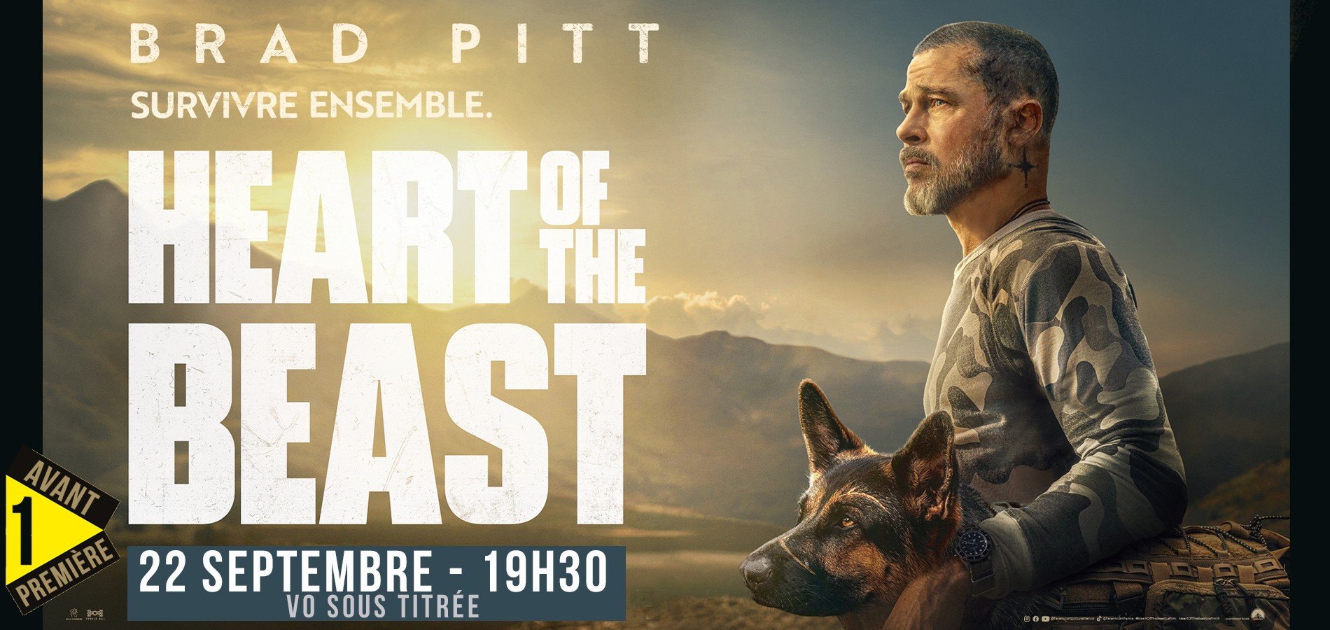 actualité heart